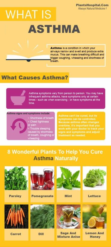 8 Wonderful Plants To Help You Cure Asthma Naturally With Picture