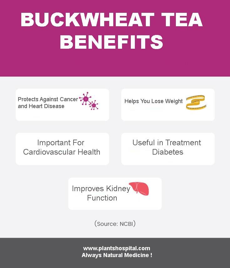 BuckwheatTea_Infographic