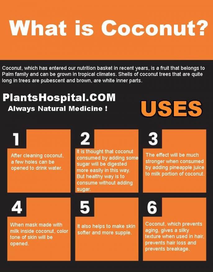 Top 17 Health Benefits of Coconut Uses & Warnings and Suggestions