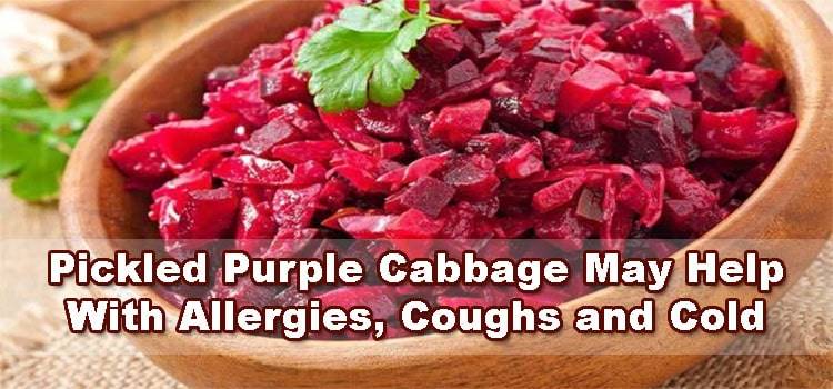 Pickled-Purple-Cabbage