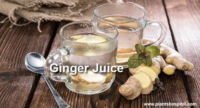 ginger-juice