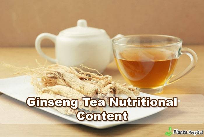 ginseng-tea