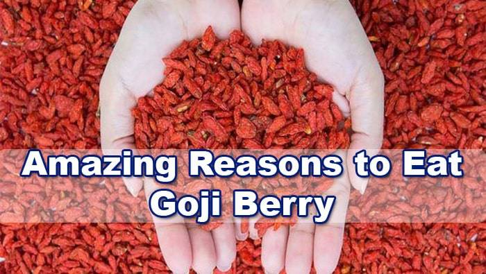 goji-berry