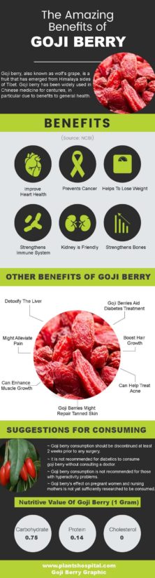goji-berry-benefits