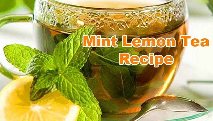 mint-lemon-tea-recipe