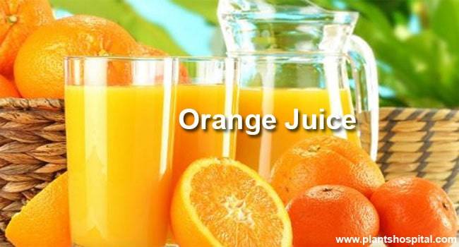 orange-juice