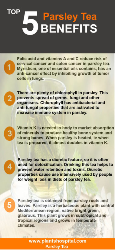 parsley-tea-graphic