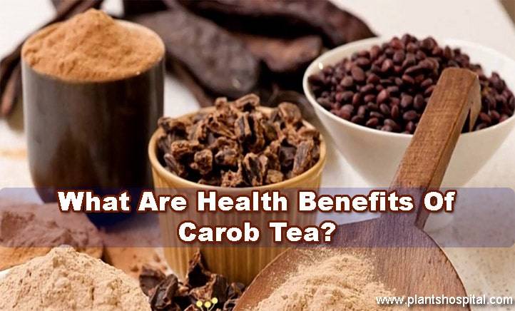 Carob-Tea