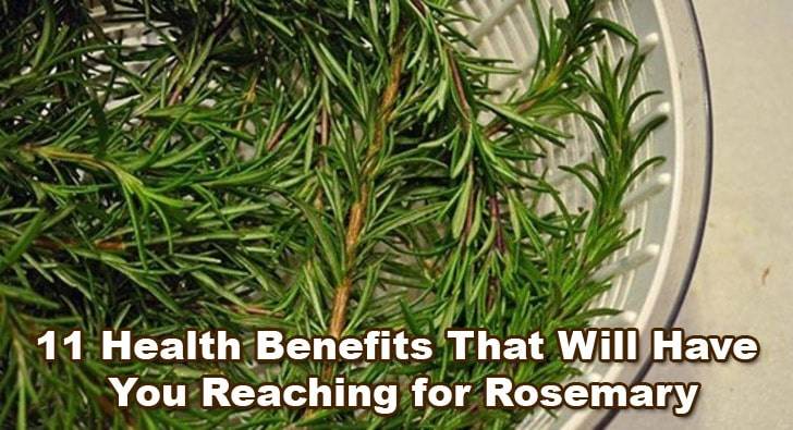 Rosemary-benefits