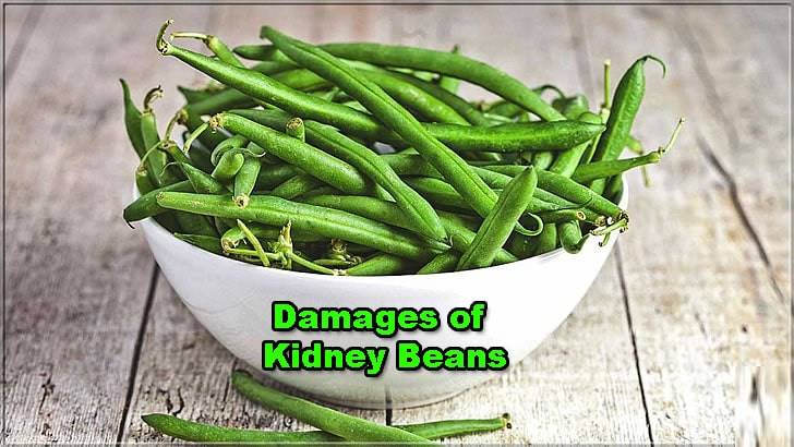 benefits-of-kidney-beans