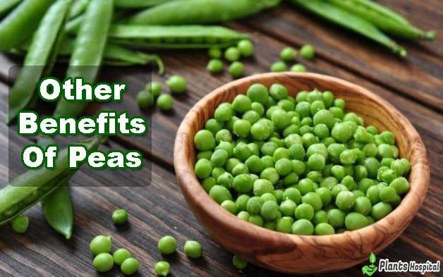 benefits-of-peas