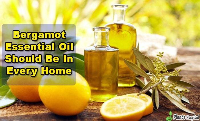 bergamot-oil-uses