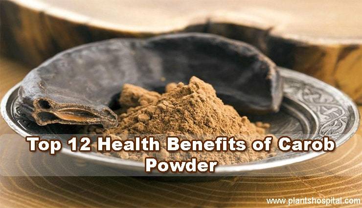 carob-powder