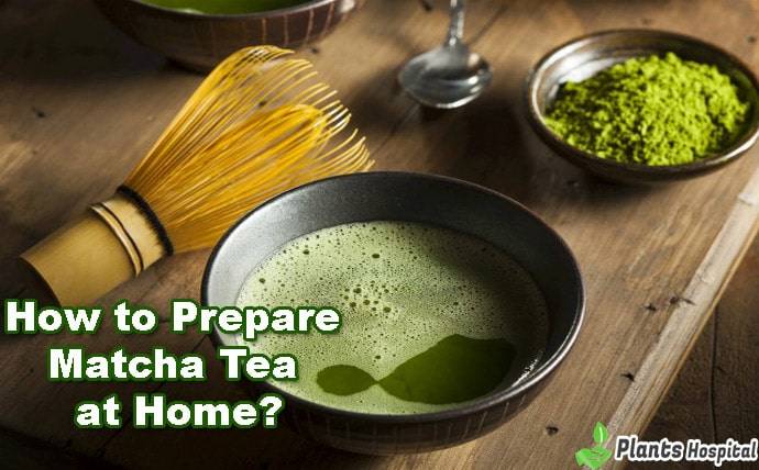 how-to-prepare-matcha-tea