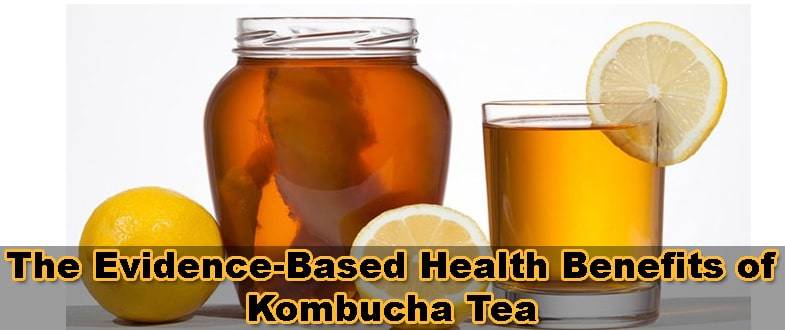 kombucha-tea