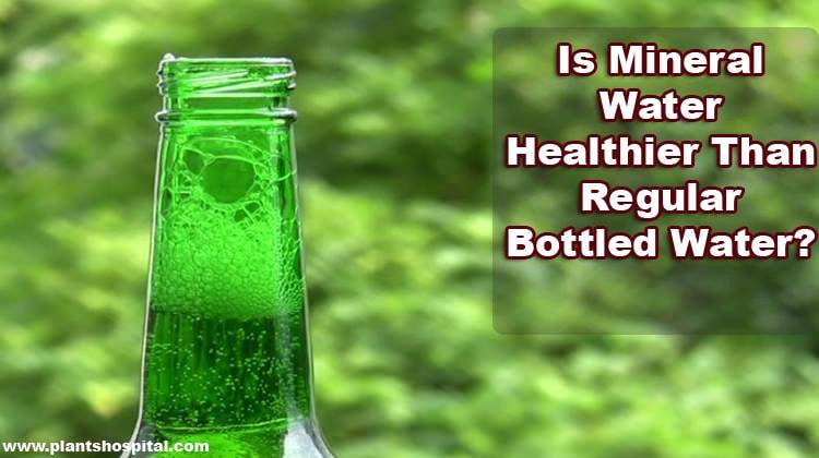 health benefits of mineral water