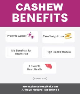 cashew benefits for men