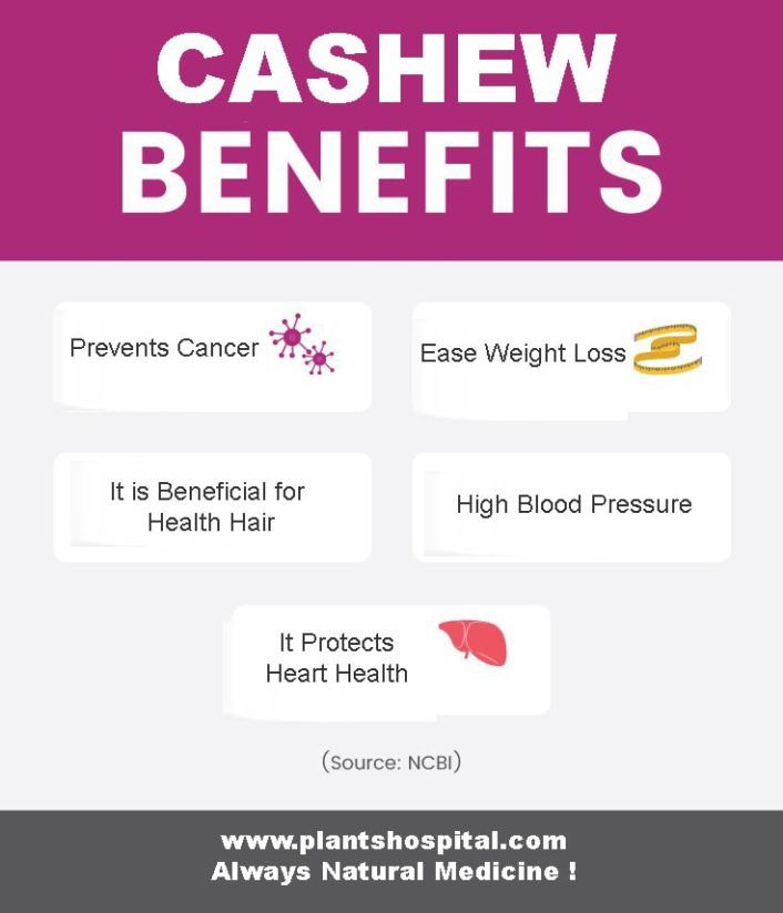 Cashews-graphic