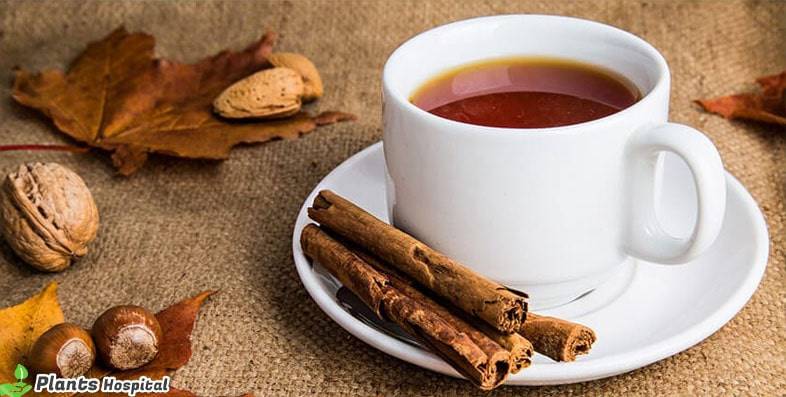 Cinnamon Tea