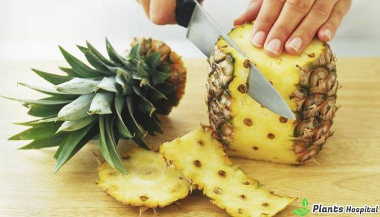 Pineapple-benefits