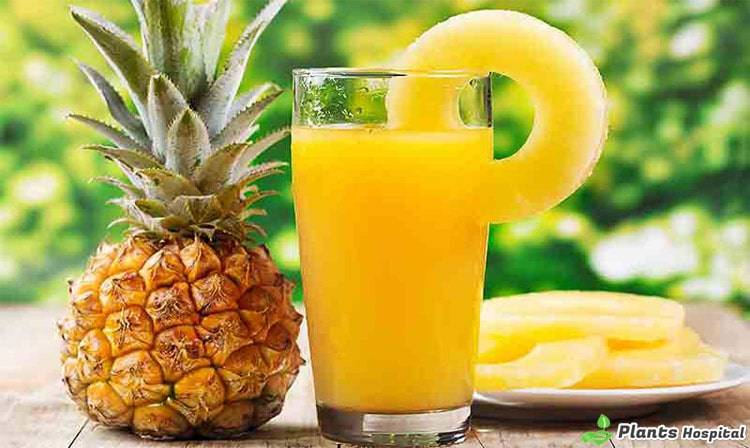 Pineapple-juice