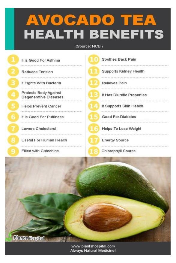 avocado-leaf-tea-graphic
