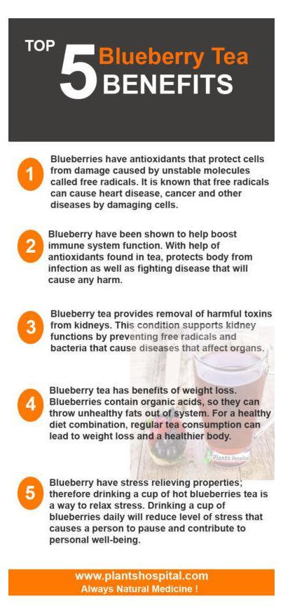 blueberry-tea-graphic