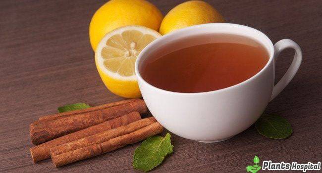 cinnamon-tea-benefits