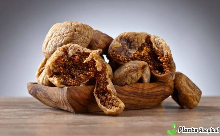 dried-figs