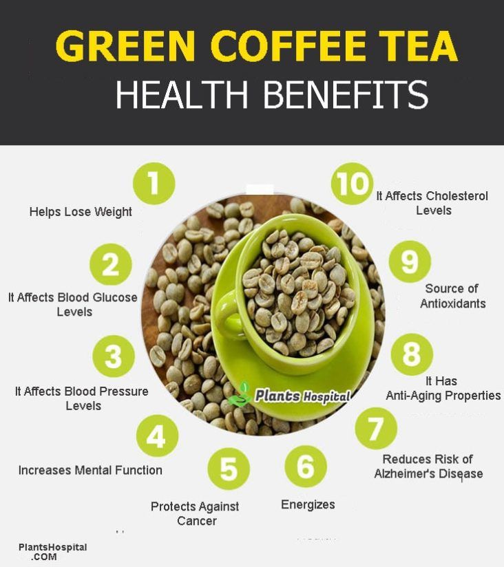 greenn-coffee-tea-graphic