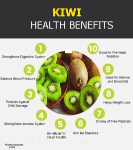 What Are Health Benefits Of Kiwi? Can You Eat Kiwi Skin? What is Kiwi?