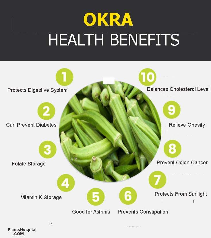 Okra 13 Best Health Benefits of This Super Plant Try it Now 