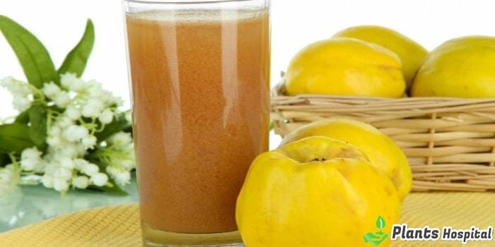 quince-juice