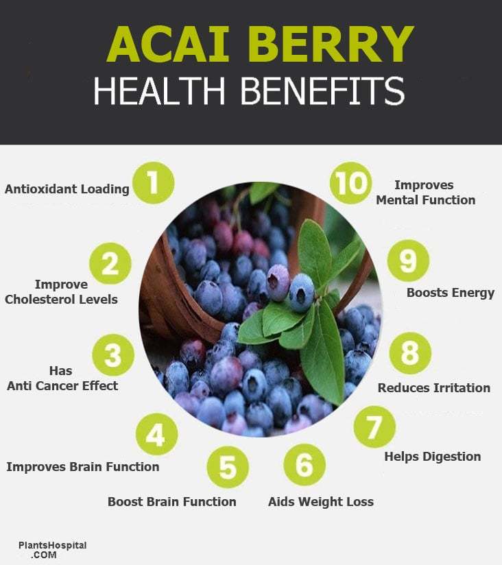 acai-berry-graphic