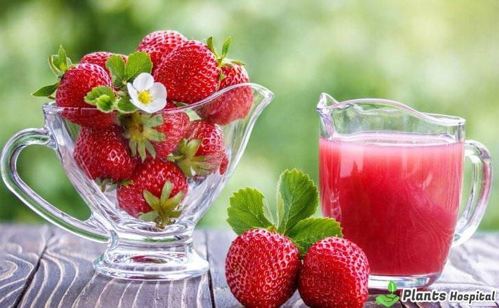 benefits-of-Strawberry