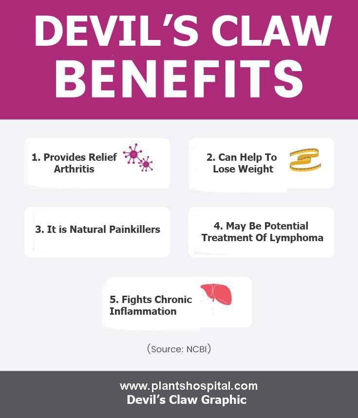 devil's-claw-graphic