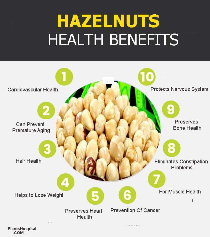 Hazelnuts Health Benefits & Nutrition Facts, Can You Eat Hazelnuts?