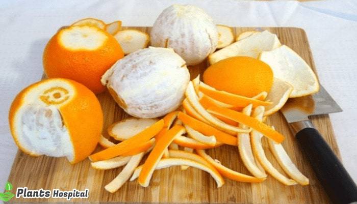 orange-peel-benefits