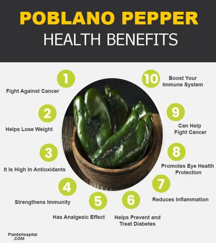 top-10-scientific-health-benefits-of-poblano-pepper-nutritional-values