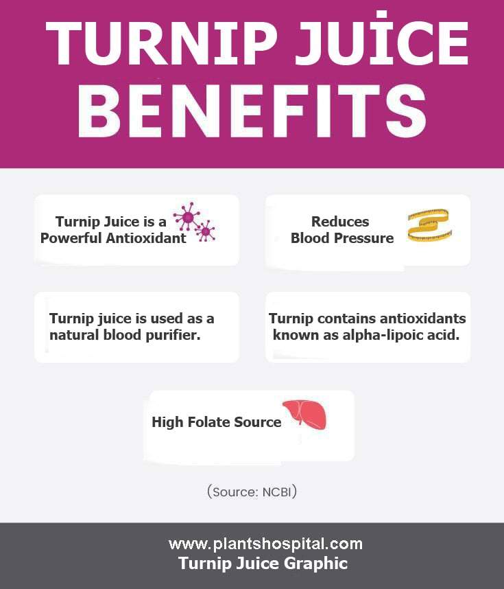 turnip-juice-graphic