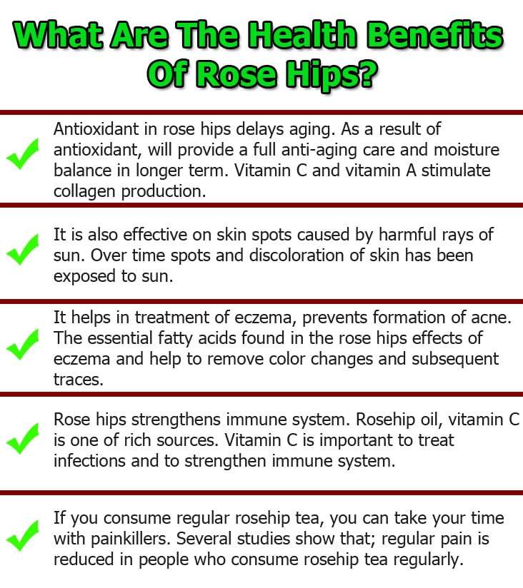 Rose-Hips-infographic