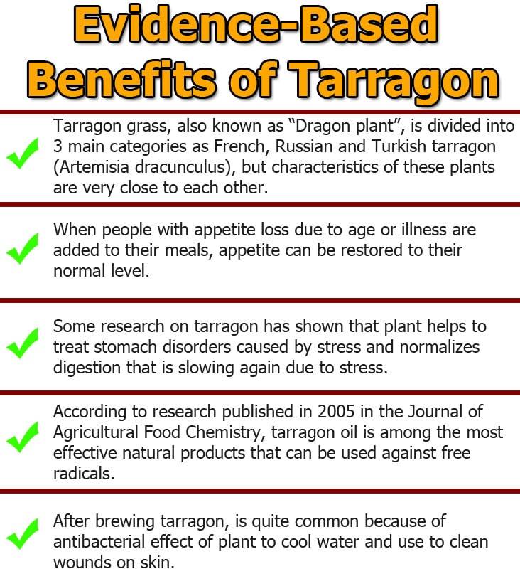 Tarragon-tea-infographic
