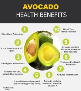 Top 11 Health Benefits Of Avocado - What is Avocado? How To Eat?