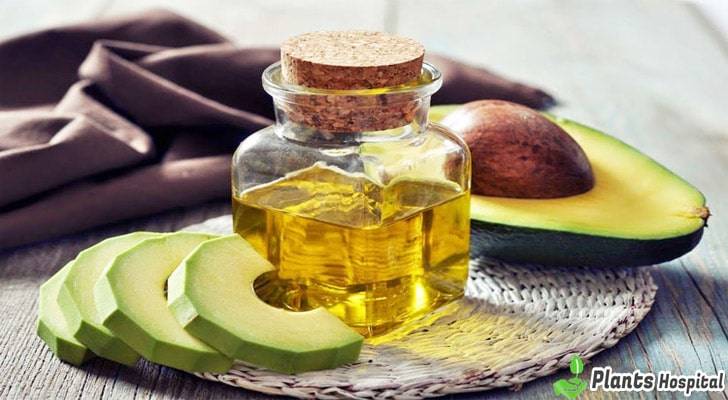 avocado-oil-benefits