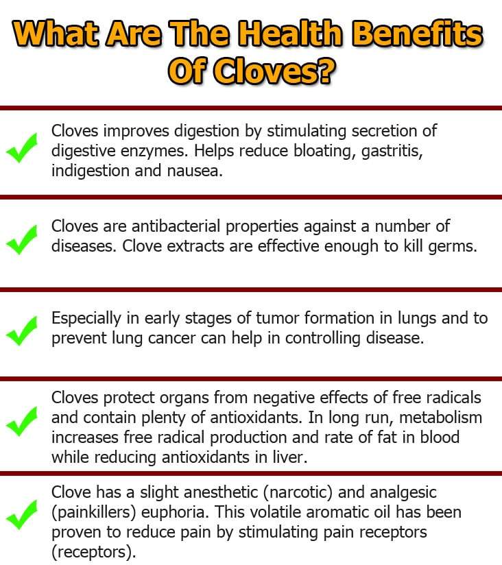 cloves-infographic