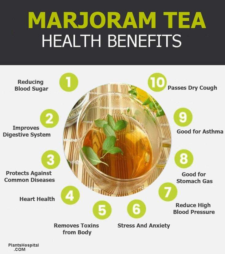 Top 17 Health Benefits Of Marjoram Tea & How to Make Marjoram Tea?