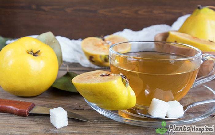 quince-leaf-tea