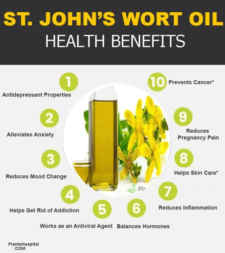 st-john's-wort-oil-graphic