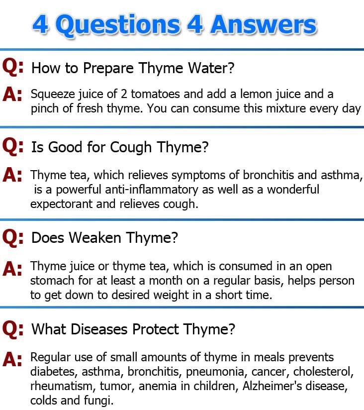 thyme-questions-answers