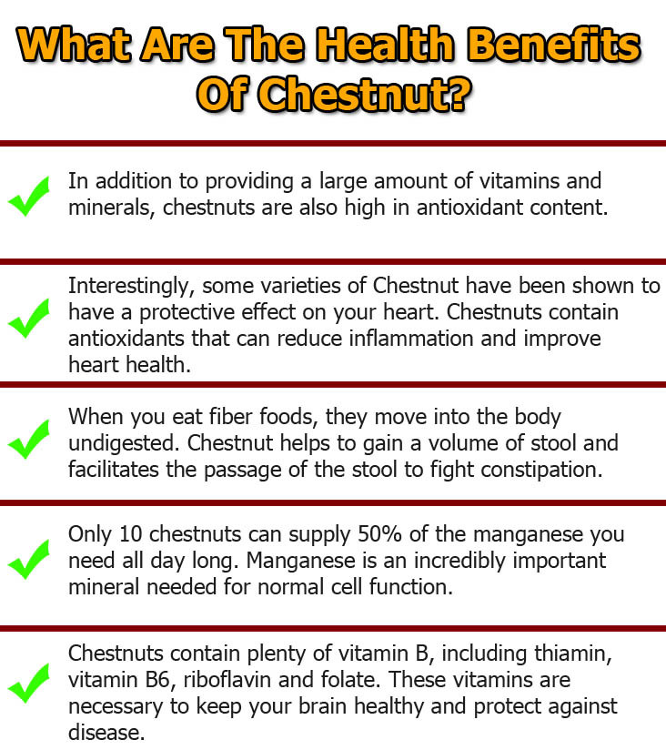 Chestnut-graphic